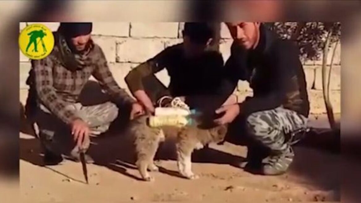 SHOCKING: Jihadists use dogs for “suicide” attacks!