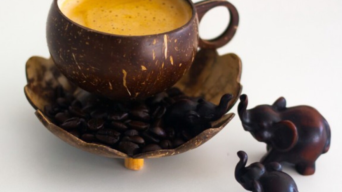 Ο πιο ακριβός καφές παράγεται από περιττώματα ελέφαντα!
