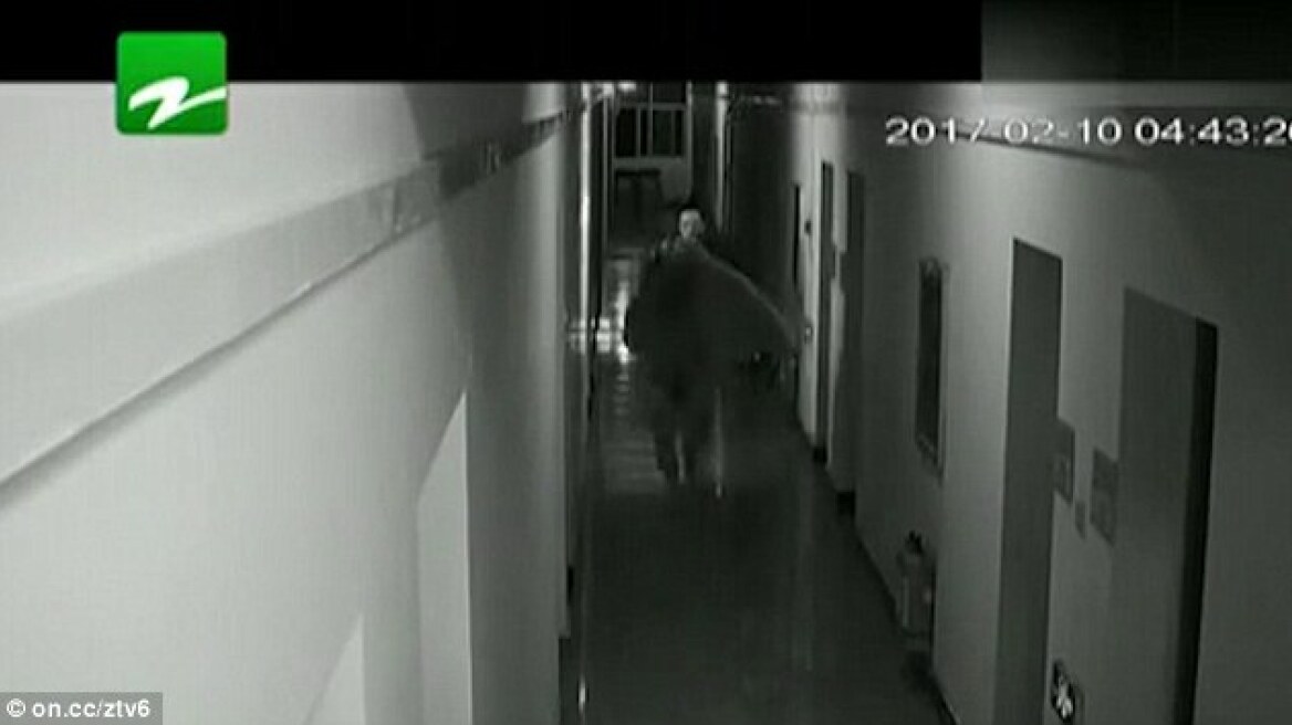 Βίντεο: Τον κυνήγησε με τον μπαλτά γιατί ροχάλιζε! 