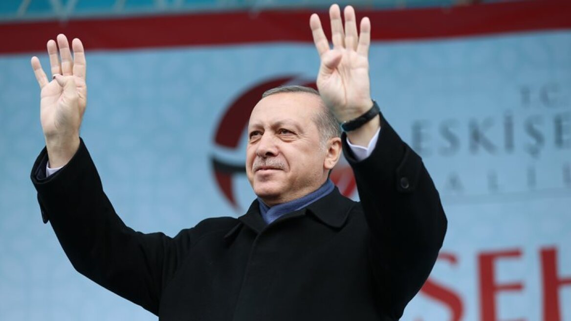 Erdogan urges Turkish diaspora to have more children