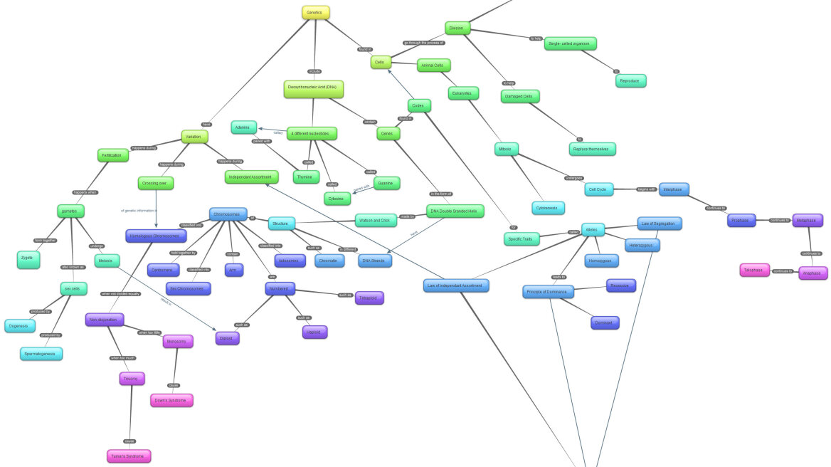 Νέα τεχνική δημιουργεί τρισδιάστατους «χάρτες» του γονιδιώματος