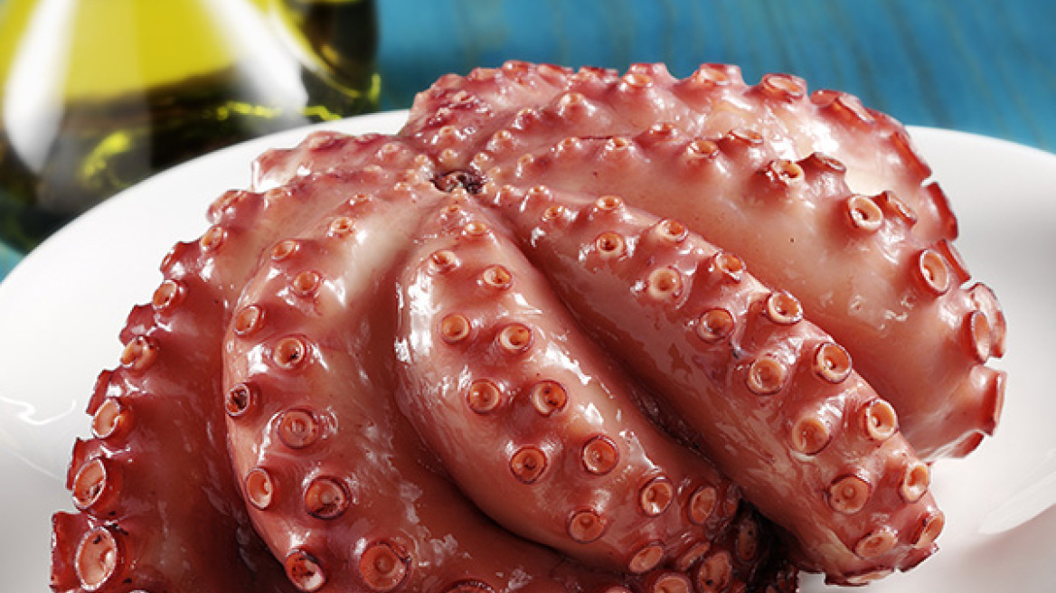 Χταπόδι vs Mοσχοχτάποδο