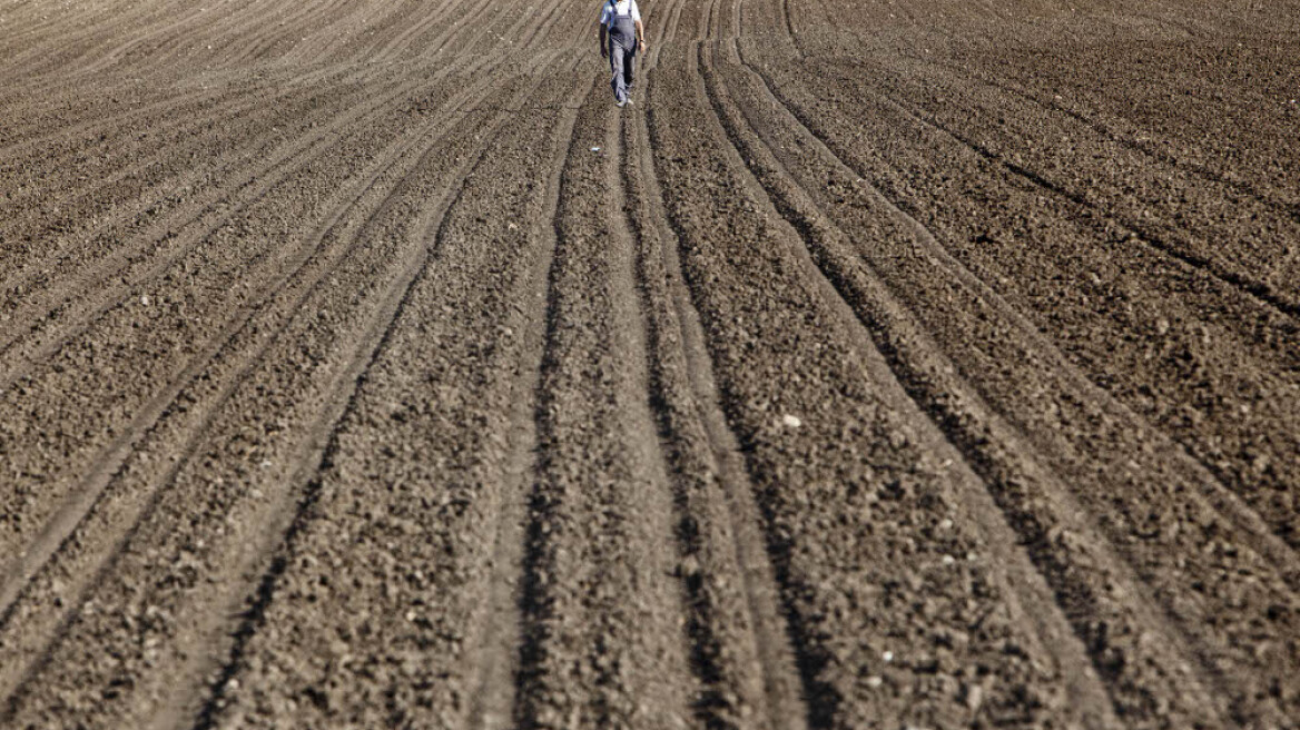 Σήμερα οι αποζημιώσεις 7,5 εκατ. ευρώ σε δικαιούχους του ΕΛΓΑ 