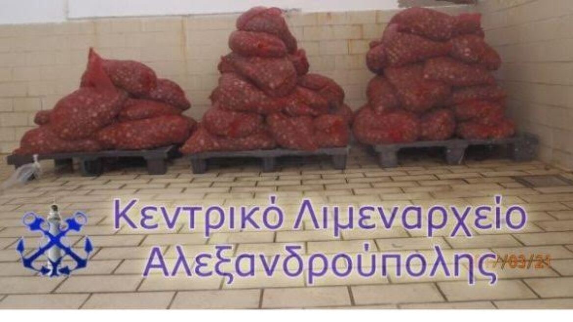 Φορτία με ακατάλληλα όστρακα σε Έβρο και Ξάνθη