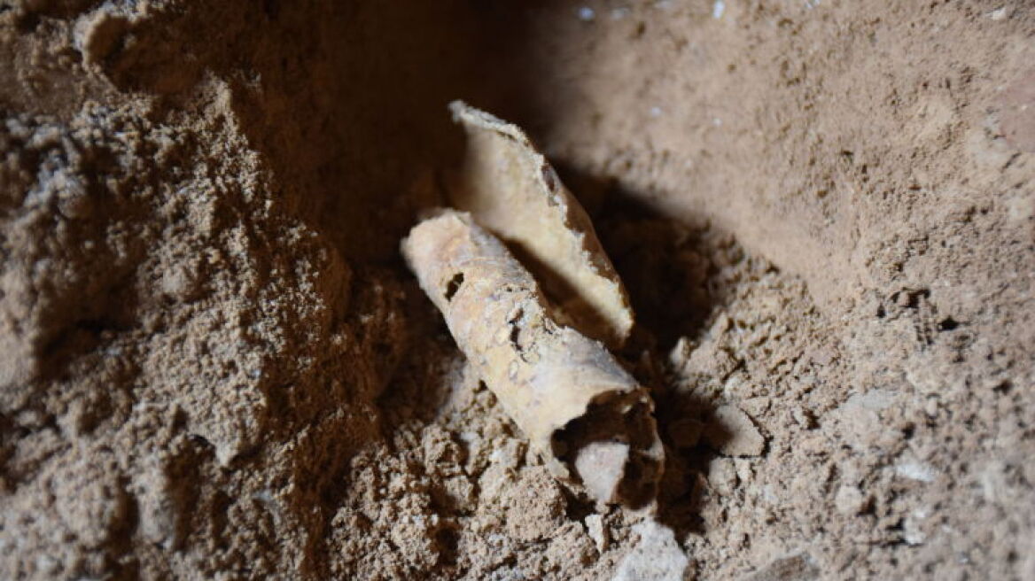 New Dead Sea Scrolls cave discovered, raising even more questions