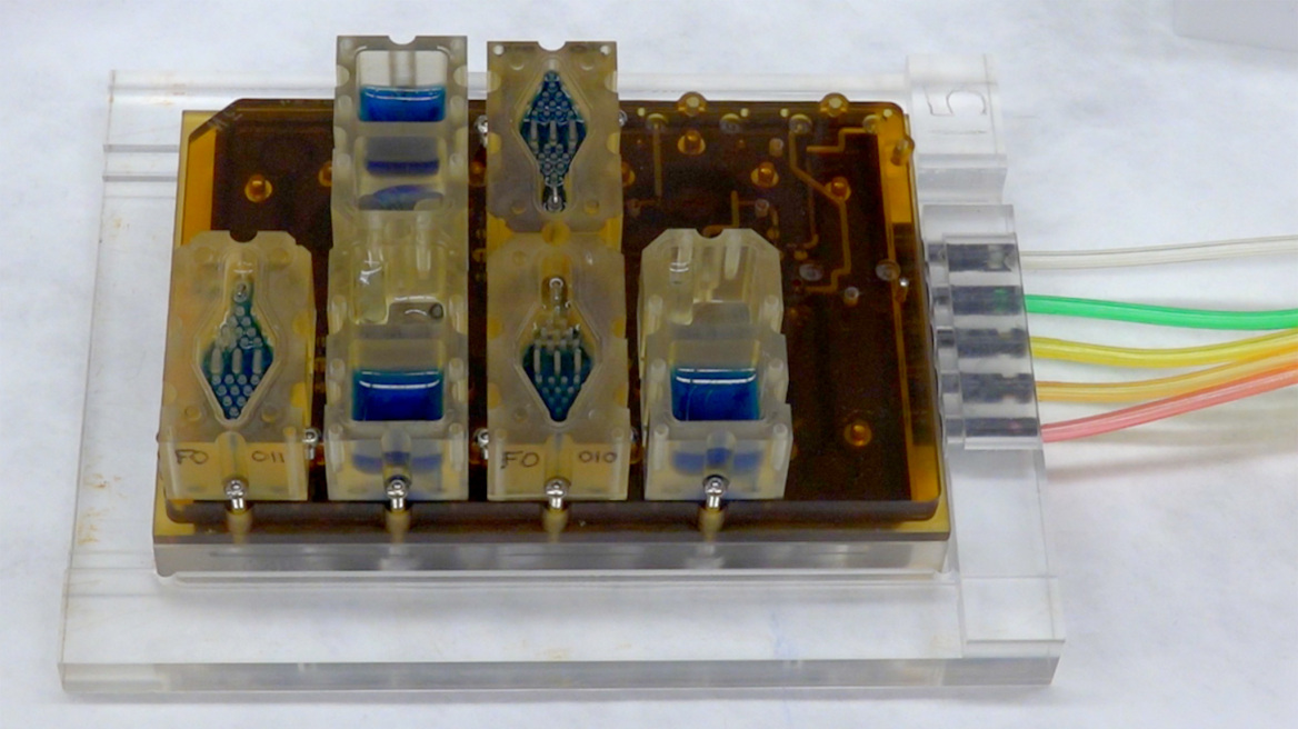 Ελπίδες για την αντισύλληψη και την υπογονιμότητα από συσκευή που μιμείται τον γυναικείο κύκλο