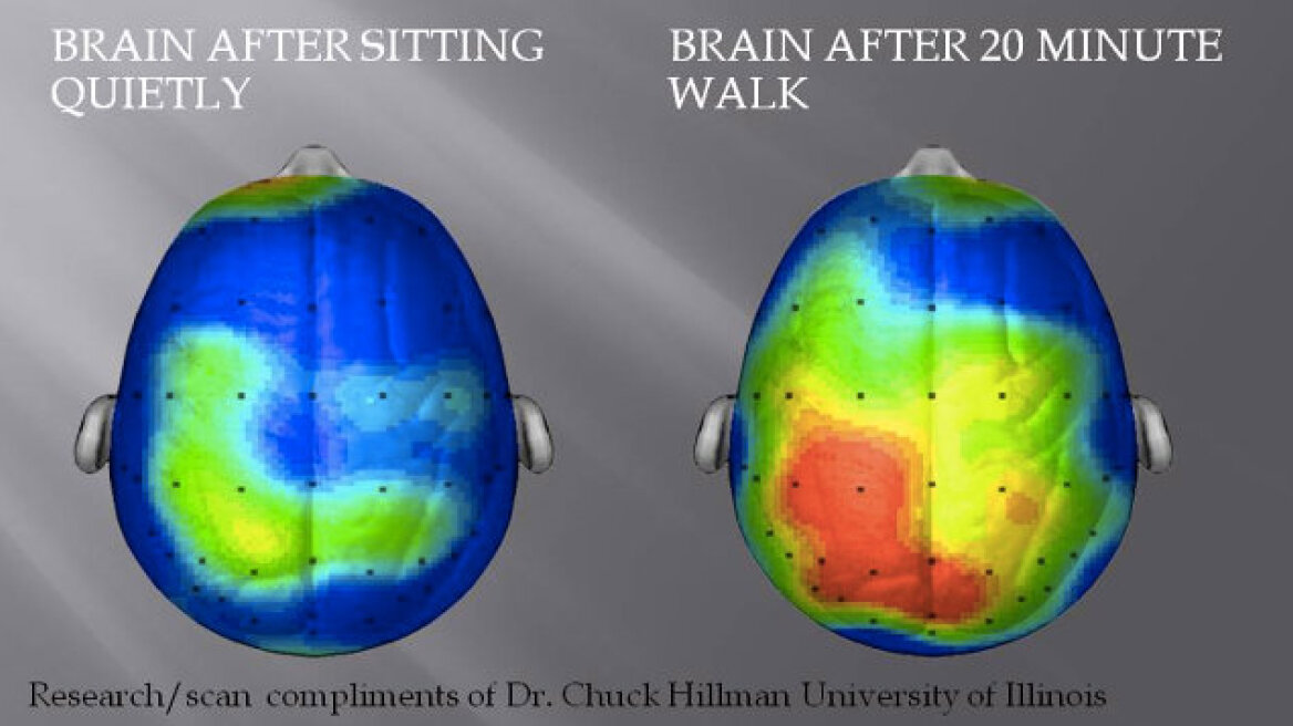 Why physical exercise (not mental games) might be the best way to keep your mind sharp