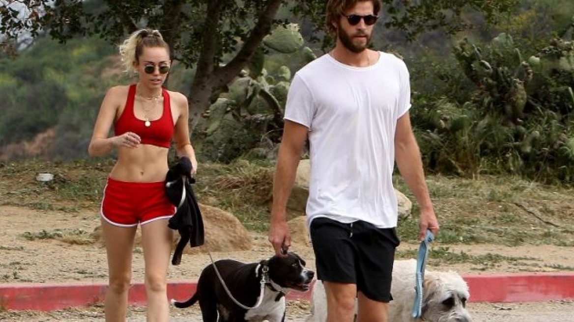 Miley Cyrus bares abs while walking dogs (photo)