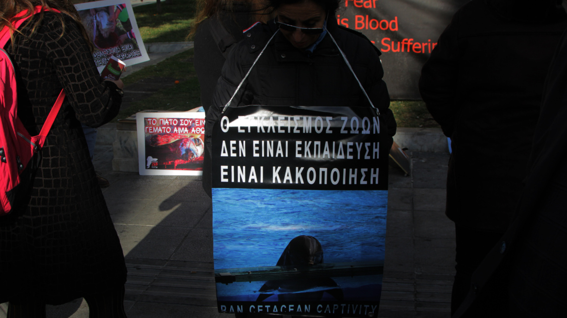 Στο αυτόφωρο όσοι βασανίζουν, κακοποιούν και ακρωτηριάζουν ζώα