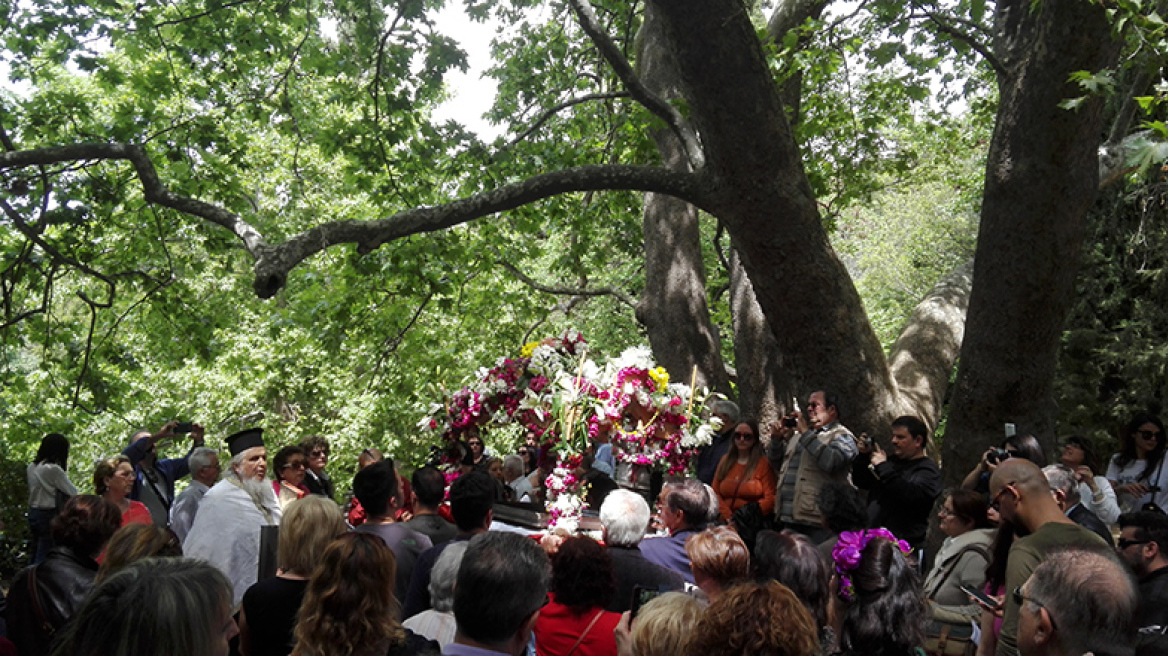  Επιτάφιος στην καρδιά του δάσους