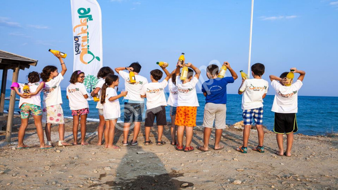 OrangeLand: Growth through oranges