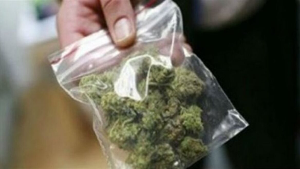 Ο σκύλος ξετρύπωσε χασίς σε αποθήκη στην Ορεστιάδα