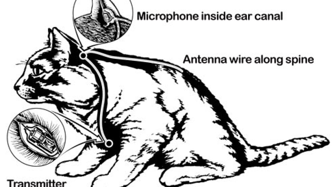 CIA Documents: Acoustic Kitty