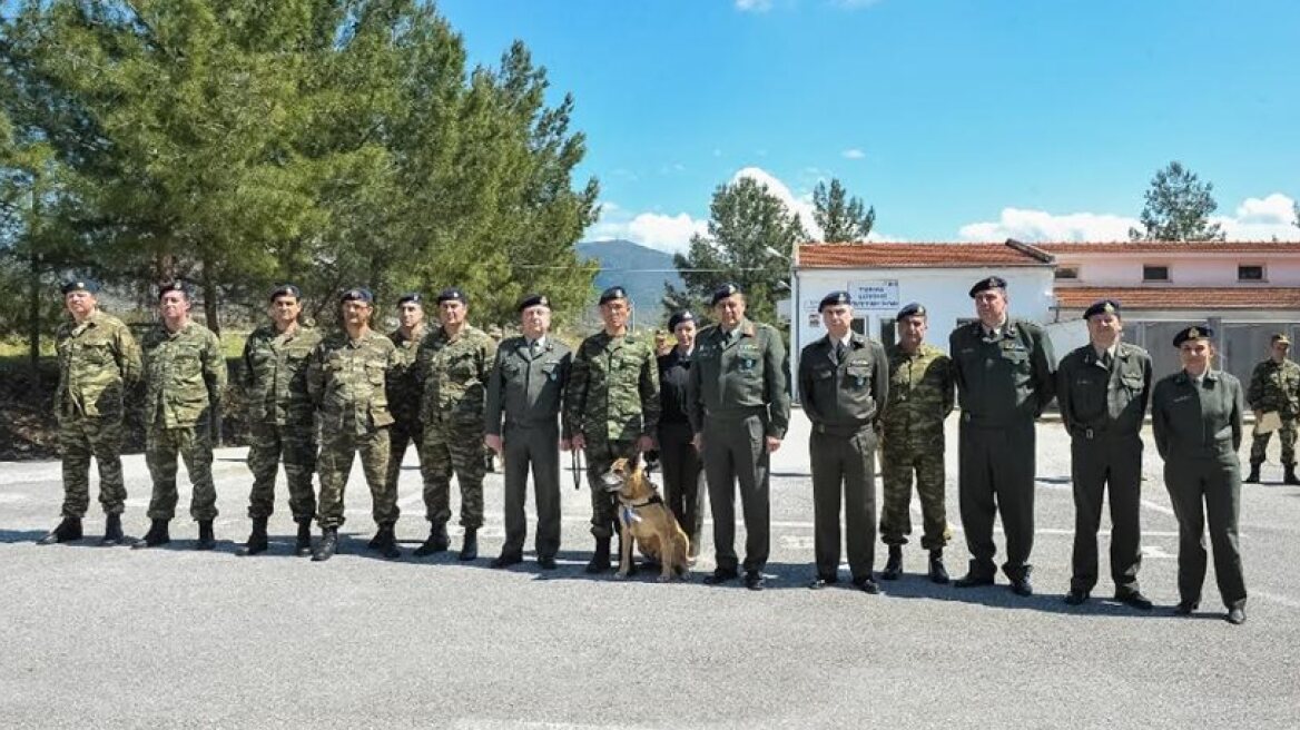 Greek army honours military dog for its services (photos)