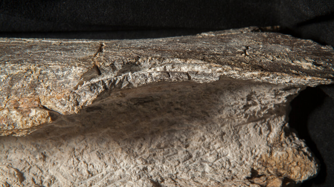 Humans lived in North America 130,000 years ago