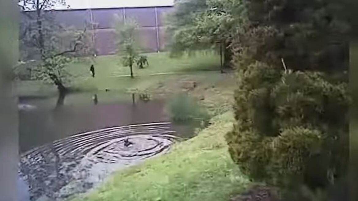 Δραματική διάσωση: Αστυνομικός βουτάει σε λίμνη για να σώσει ένα αυτιστικό παιδί