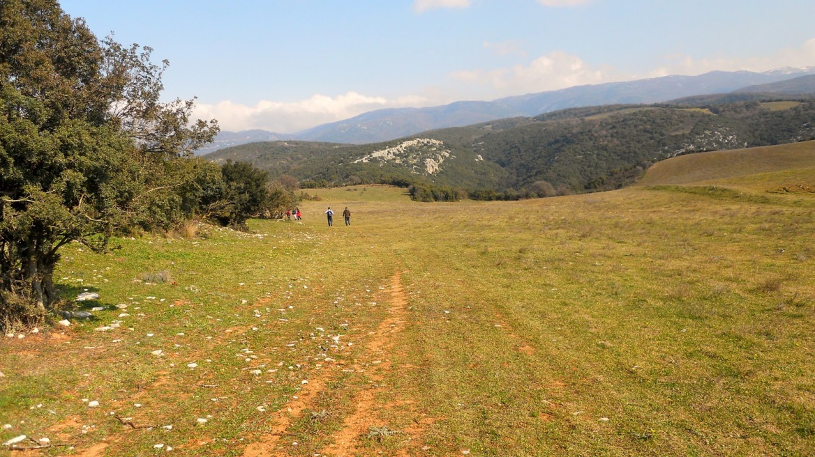 Βοιωτία: Σύρος αγόρασε χωράφι και για να το κάνει μουσουλμανικό… νεκροταφείο!