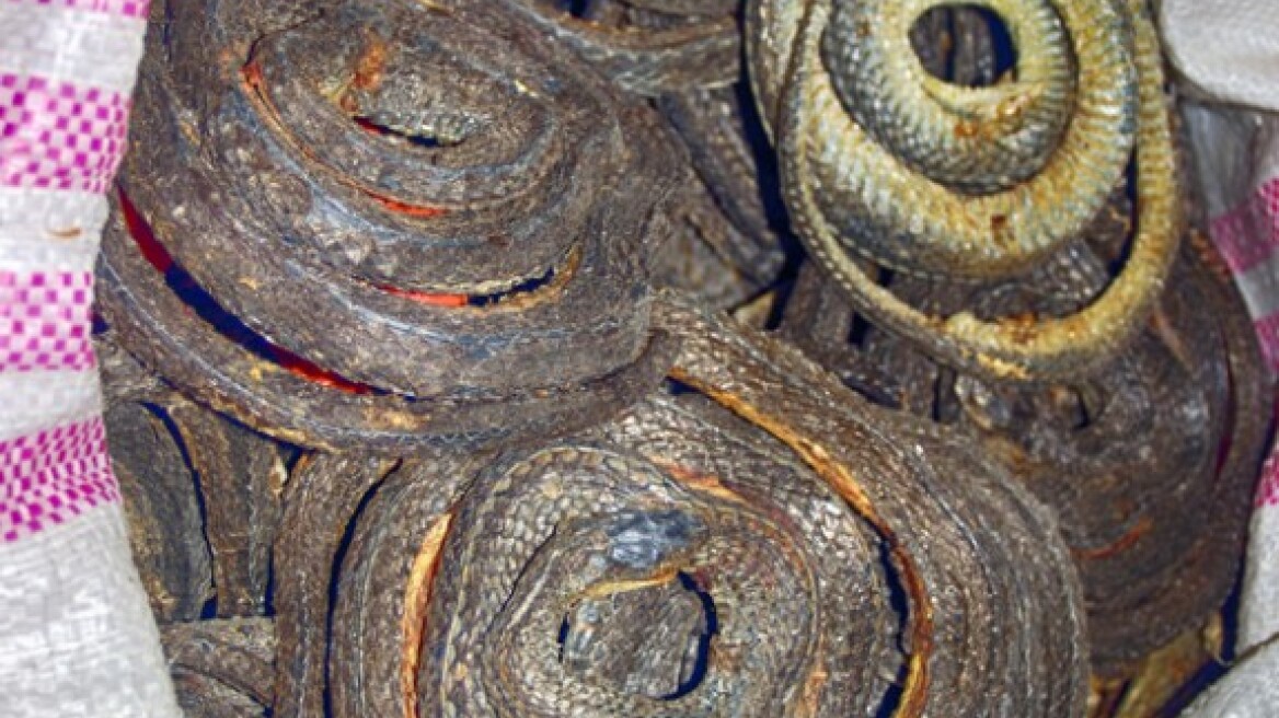 Οι διατροφικές συνήθειες 9 διαβόητων δικτατόρων