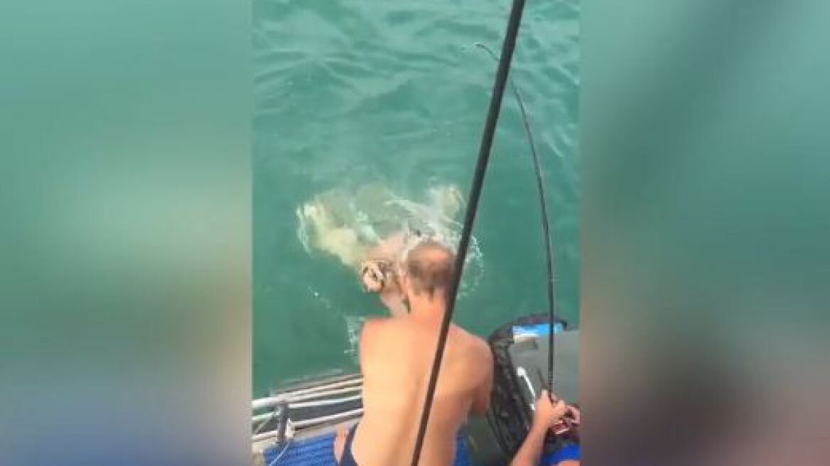 Βίντεο: Πήγε να παλέψει με καρχαρία και την... πάτησε!