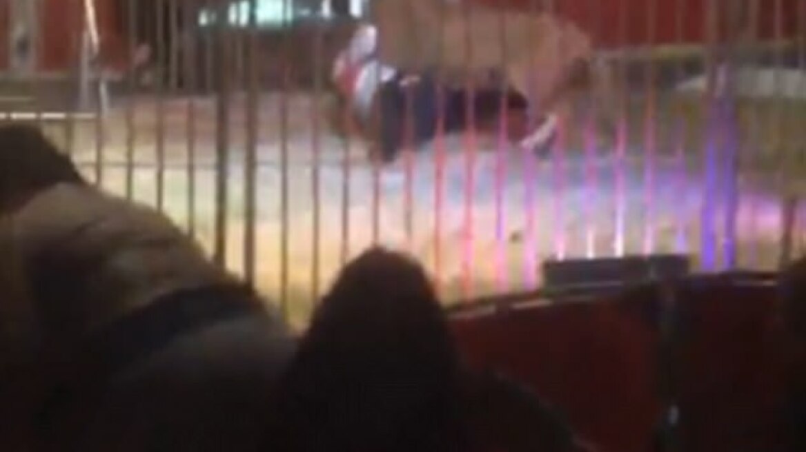 Βίντεο-σοκ: Λιοντάρι αρπάζει από το λαιμό τον εκπαιδευτή και τον «περιφέρει» στη σκηνή