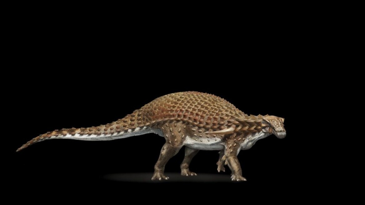  New dinosaur fossil so well-preserved it looks like a statue