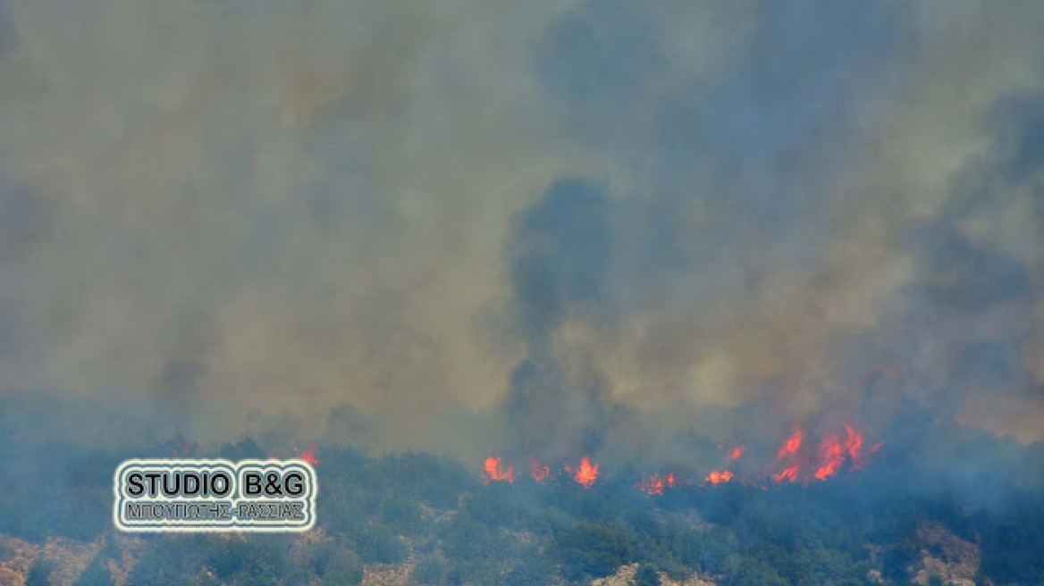 Παραλίγο να καούν σπίτια από τη φωτιά στην Αργολίδα 