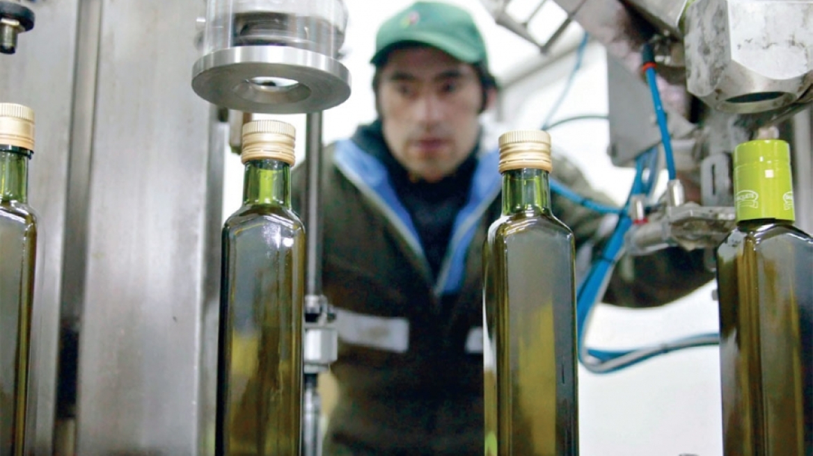 Πτώση 14% της παγκόσμιας παραγωγής ελαιολάδου λόγω ξηρασίας