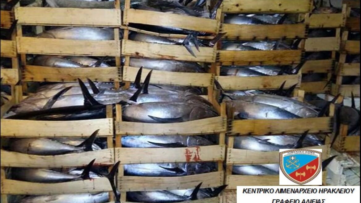 Ηράκλειο: Παράνομη ψαριά… στα «δίχτυα» των λιμενικών