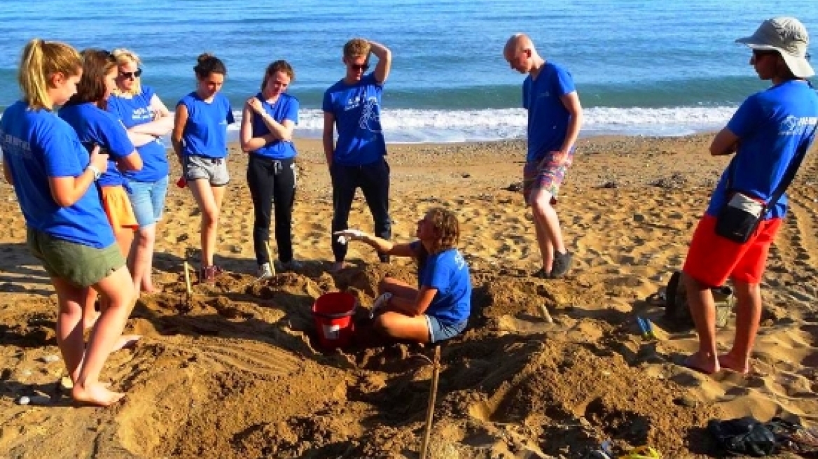 First sea turtles arrive in Crete for the season