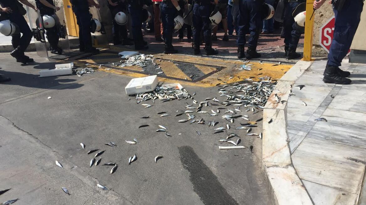 Με ...σαρδέλες στη Βουλή διαμαρτύρεται το ΠΑΜΕ για τα μέτρα που «τυλίχθηκαν» σε νομοσχέδιο για την αλιεία