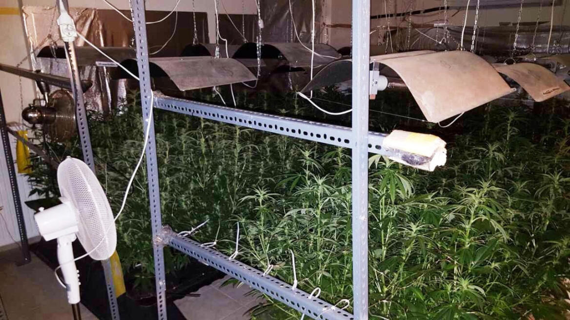 Εξαρθρώθηκαν σπείρες ναρκωτικών - Διακινούσαν κάνναβη ακόμα και με ταχύπλοα