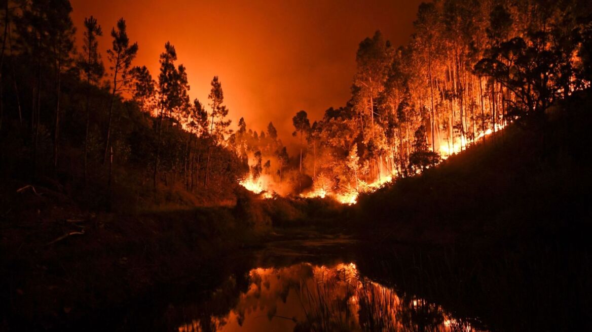  Over 40 killed as forest fires rage across Portugal