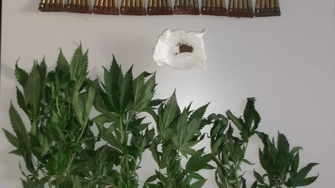 Δεκάδες σφαίρες μαζί με μίνι χασισοφυτεία στα Γρεβενά