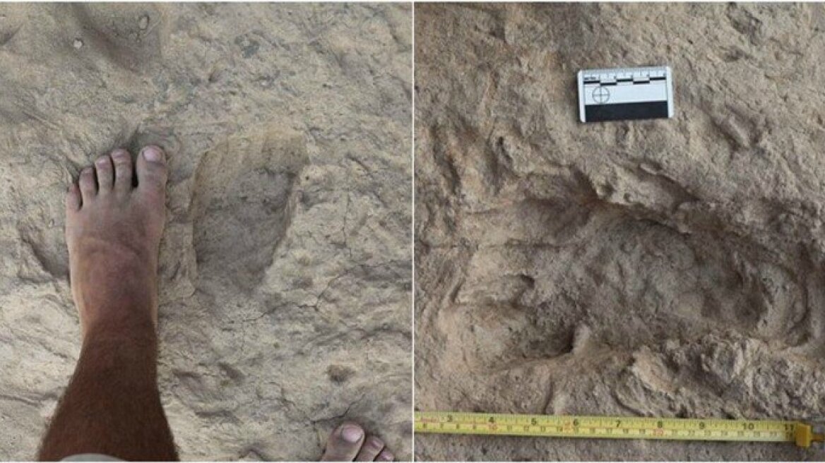 DNA study discovers a mystery of a new ancestor: Did the Homo Sapiens interbreed with a THIRD species?
