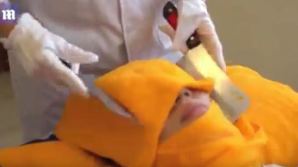 Στην Ταϊβάν το τερμάτισαν: Κάνουν μασάζ με... μπαλτάδες!