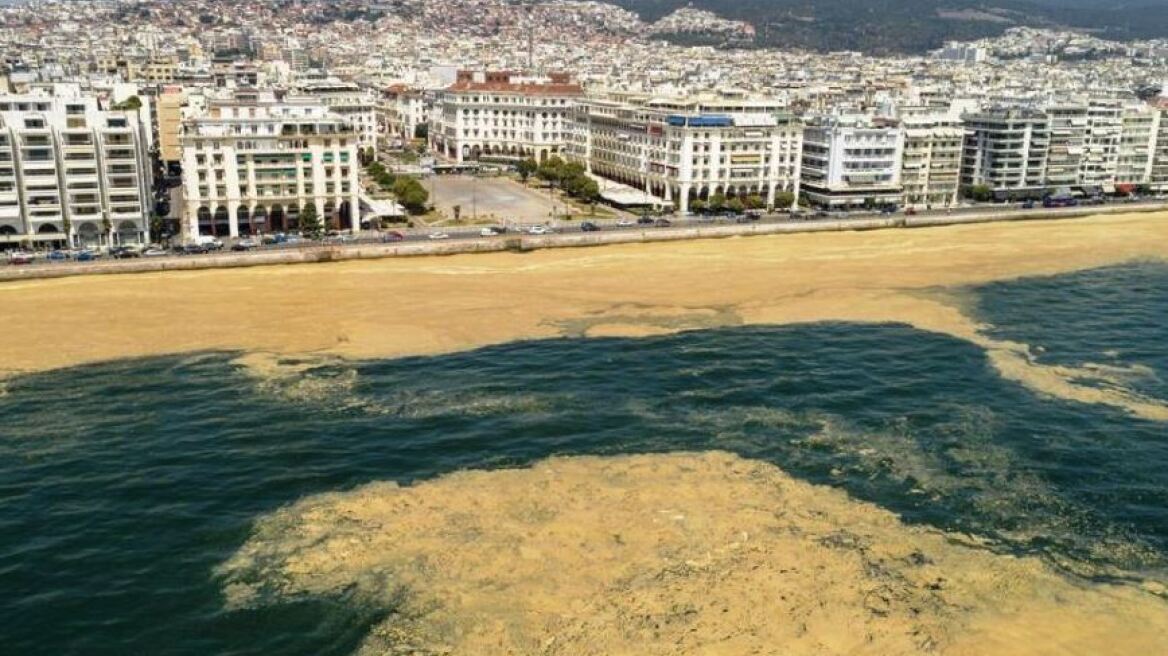 «Πυρετώδεις» προσπάθειες για τη μείωση του φυτοπλαγκτού στον Θερμαϊκό