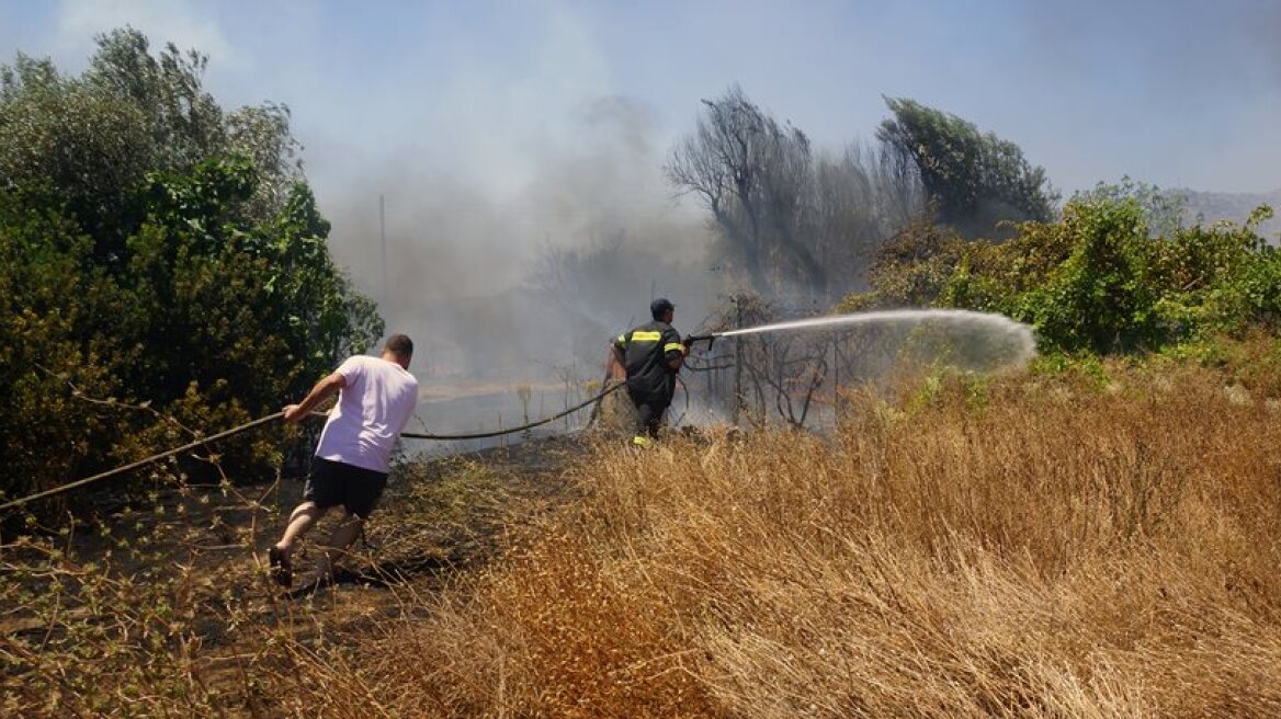 Large forest fire in Corfu