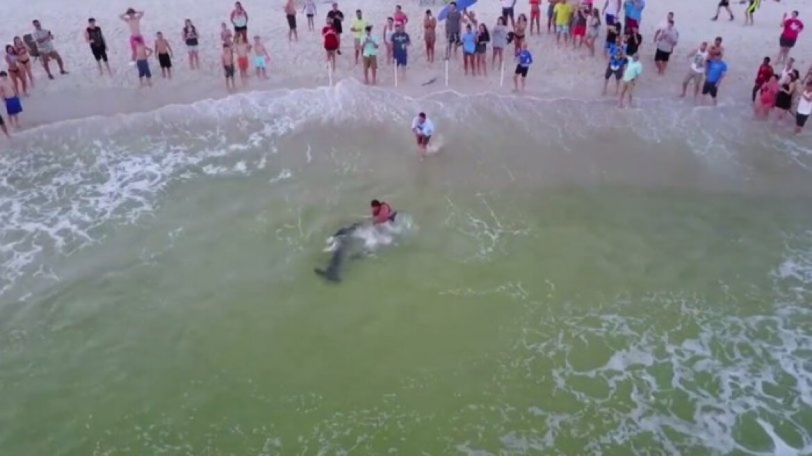 Ψαράς έπιασε καρχαρία σε παραλία με κόσμο (vid)