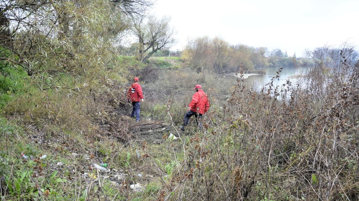 Φιλιππιάδα: Ηλικιωμένος σκοτώθηκε μαζεύοντας τσάι