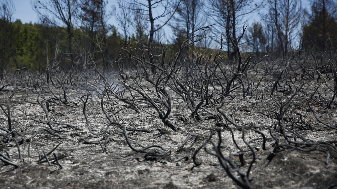 Συνελήφθη 56χρονος για τη φωτιά στην Αλεξανδρούπολη