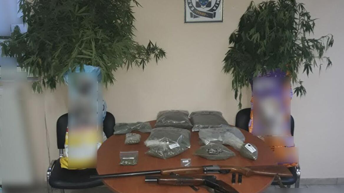 Φυτεία κάνναβης, δυο κιλά χασίς και κλεμμένα όπλα στη Θήβα