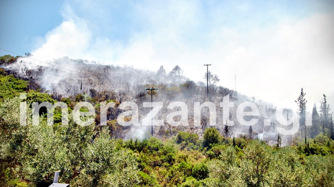 Χιλιάδες στρέμματα καμένου δάσους στις Ορθονιές Ζακύνθου