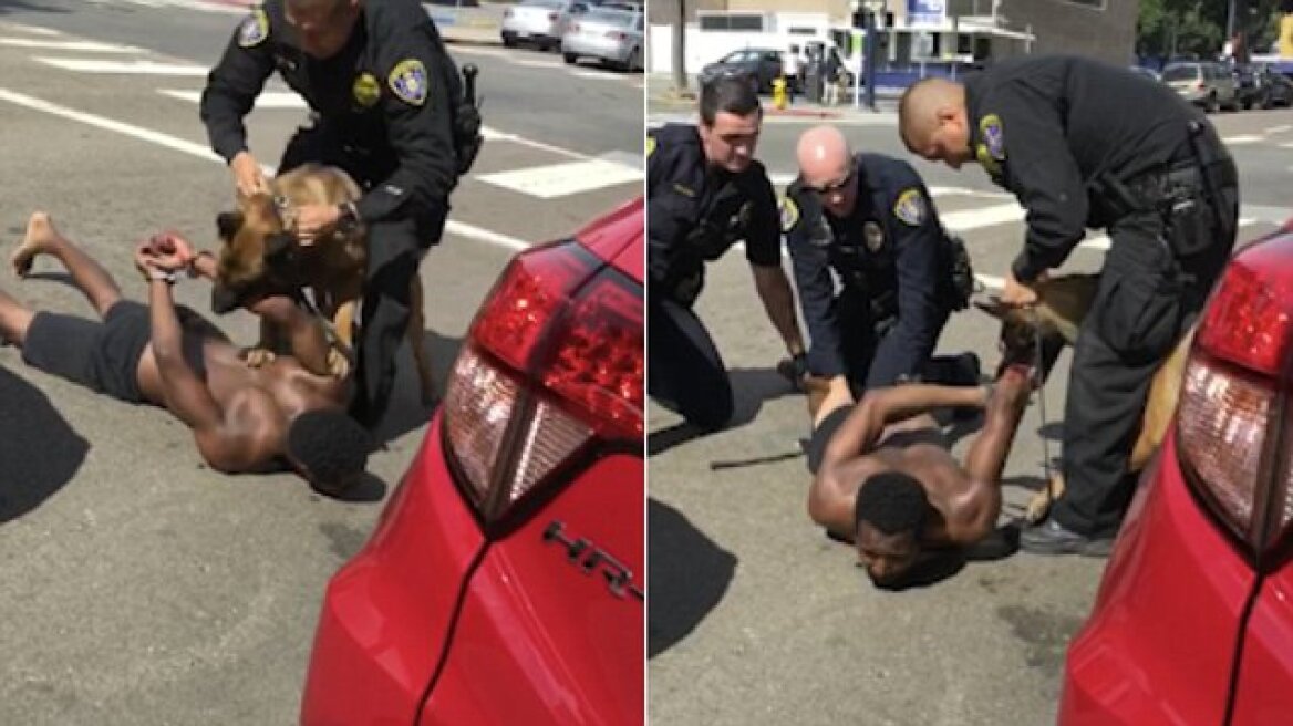 Χαμός στις ΗΠΑ: Αστυνομικός σκύλος δαγκώνει ανελέητα άνδρα που βρίσκεται με χειροπέδες στο έδαφος