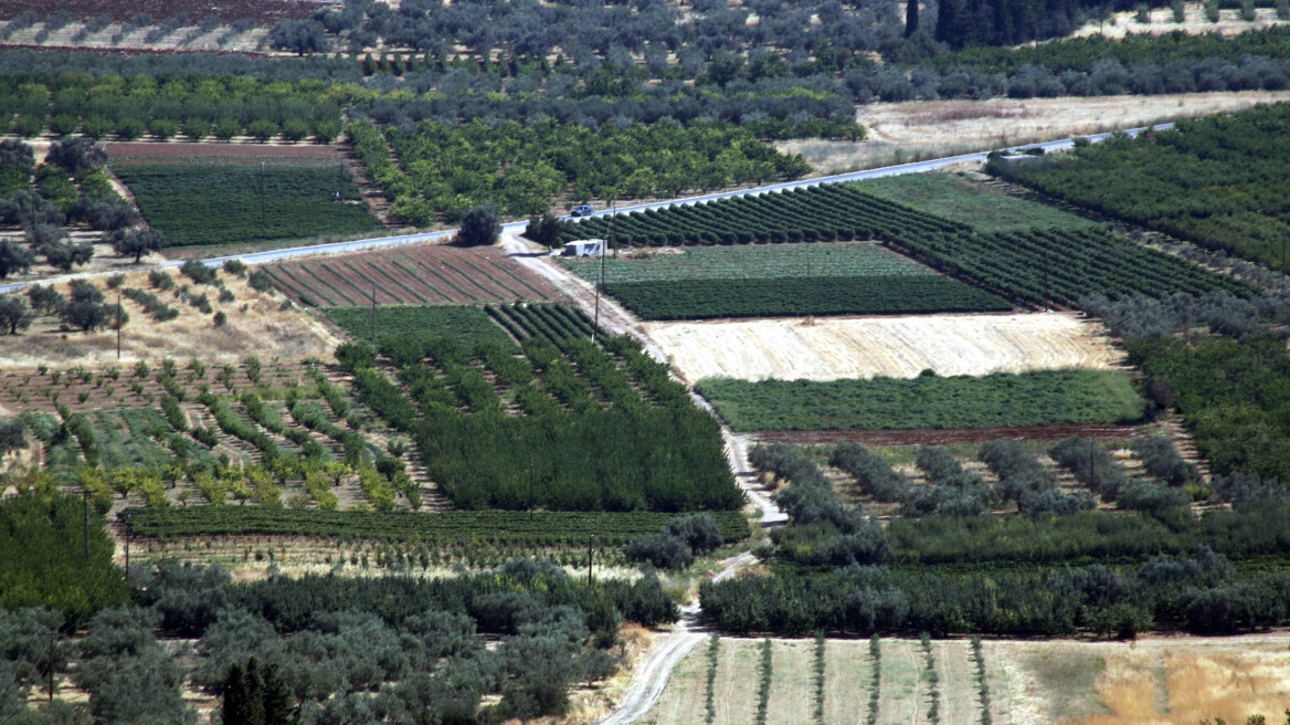 Δέκα ημέρες στους αγρότες για τακτοποίηση των εκτάσεών τους