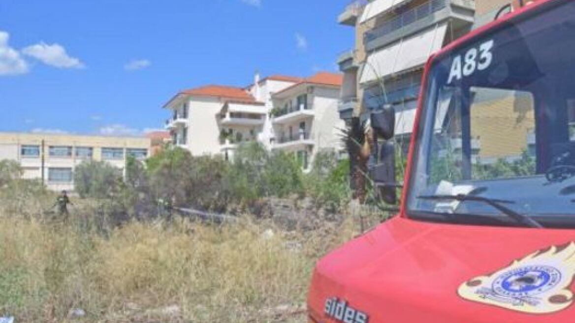 Φωτιά σε εξέλιξη στο παραποτάμιο δάσος του Νέστου