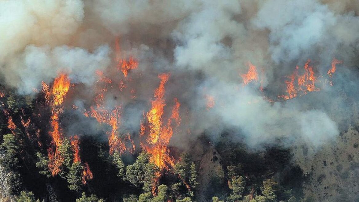 Πυροσβεστική: Σε ποιες περιοχές υπάρχει κίνδυνος για πυρκαγιά σήμερα