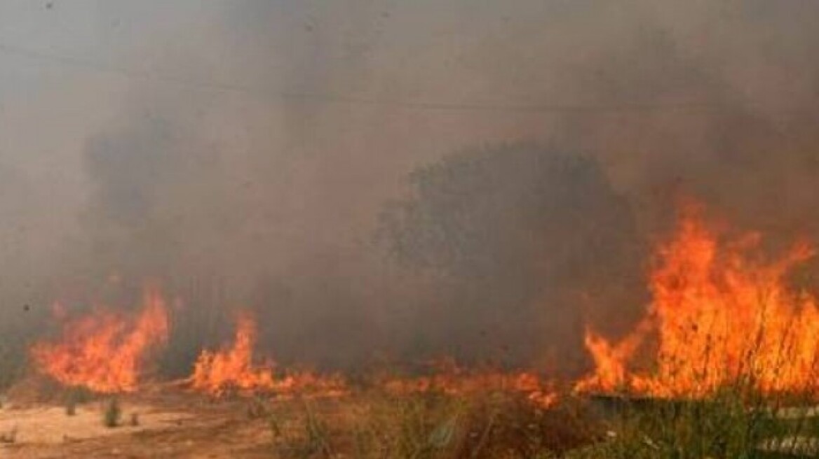 Μεγάλη πυρκαγιά σε αγροτοδασική έκταση στη Σητεία Κρήτης