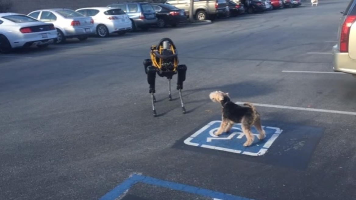 Όταν σκύλος συναντά ένα... ρομπότ (ΒΙΝΤΕΟ)