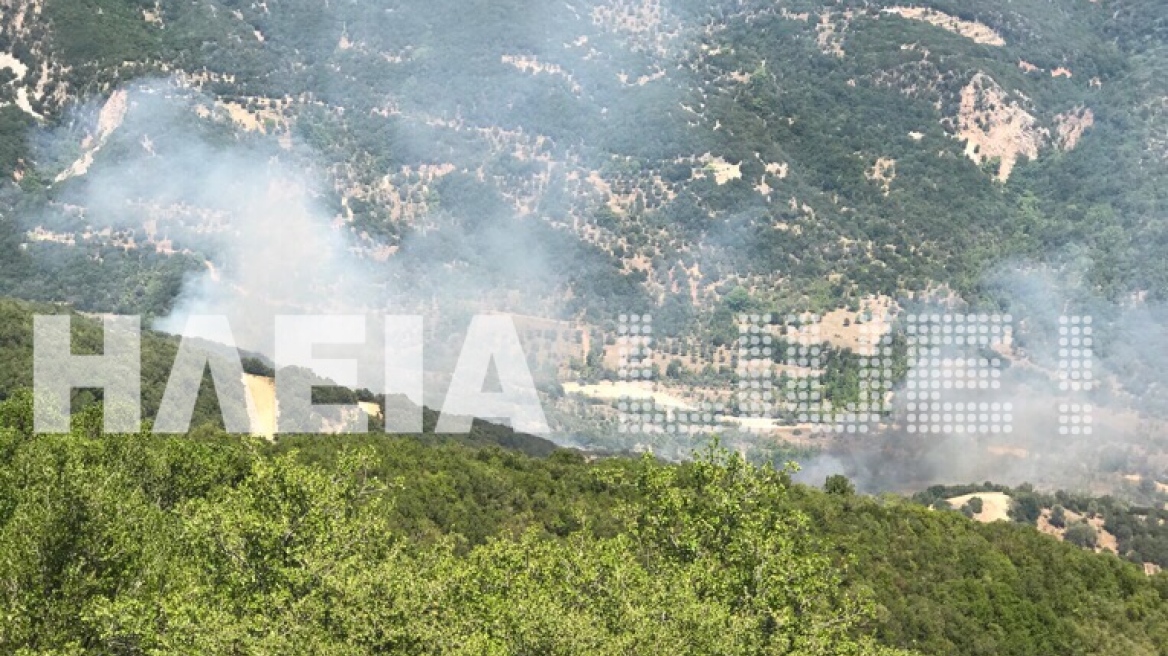 Ηλεία: Ξέσπασε πυρκαγιά στο Κούμανι