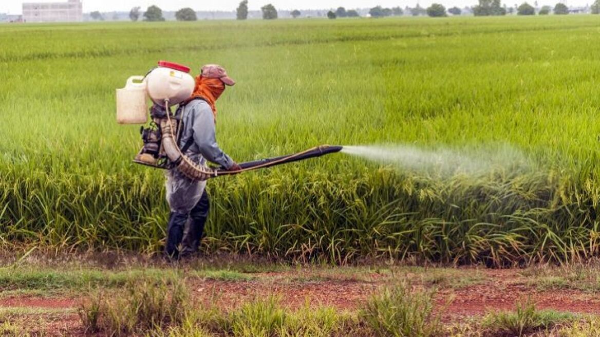 Greece seizes more than 700kg of illegal pesticides from Turkey